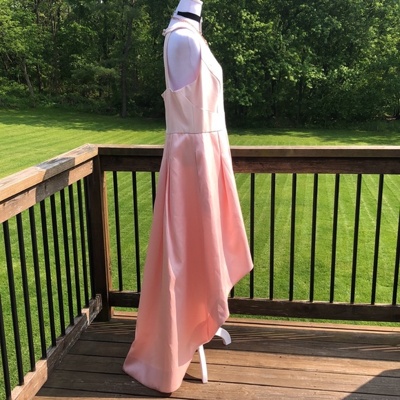 Pretty in Pink Eliza J Formal Gown - Picture 15 of 17